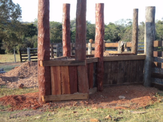 Produtor rural é multado por exploração ilegal de madeira em MS (Foto: Divulgação/ PMA)