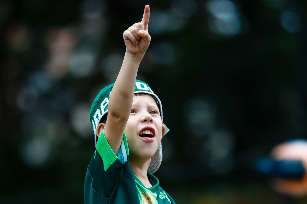 Torcedor mirim torcendo pela Chapecoense na decisão da Recopa (Foto: Buda Mendes/Getty Images)