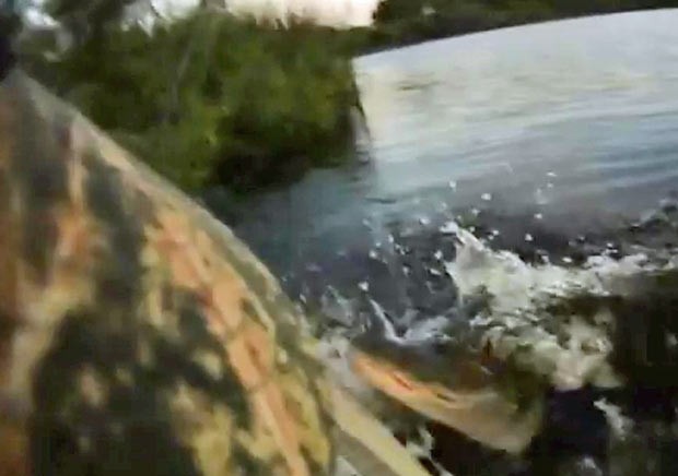 O americano Thomas Swiader filmou o momento em que um aligátor (jacaré americano) o atacou enquanto ele estava pescando em um caiaque em um lago em Casselberry, na Flórida (EUA). (Foto: Reprodução)