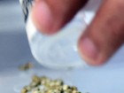 Chile é o primeiro latino-americano a plantar maconha com fins medicinais