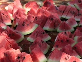 Diversos pratos preparados com melancia serão servidos (Foto: Comdecom/Divulgação)