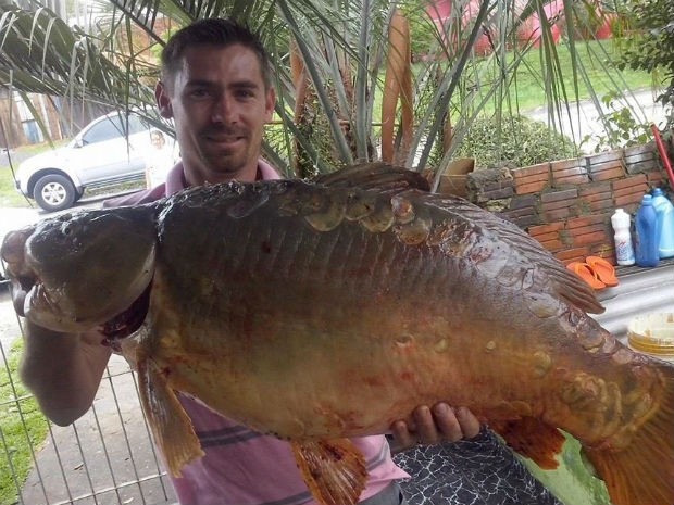 Moradores pescaram peixes com as mãos após lago transbordar (Foto: Mauricio Lupepsa)