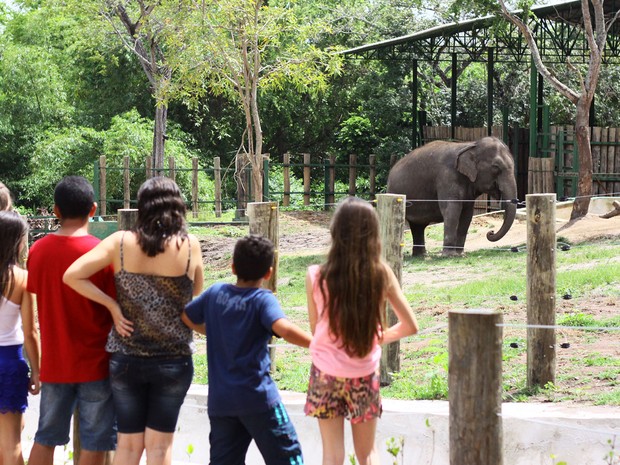Parque zoobotânico de João Pessoa tem programação especial de férias (Foto: Secom / JP)