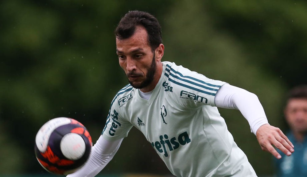 Embalado, Palmeiras usa 2016 como lição para se dar bem na Libertadores