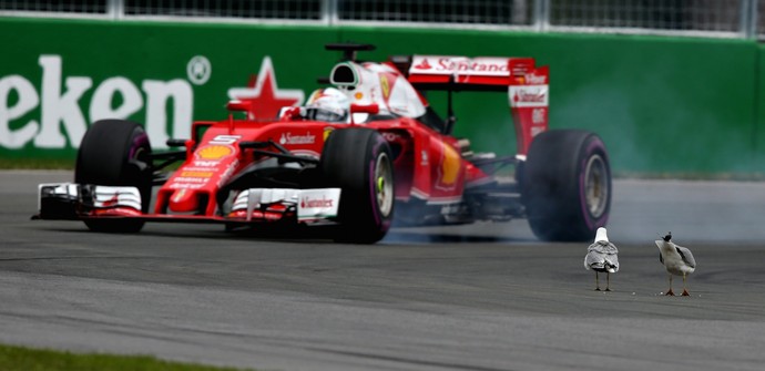 Sebastian Vettel Ferrari Fórmula 1 Canadá 2016 gaivotas (Foto: Getty Images)