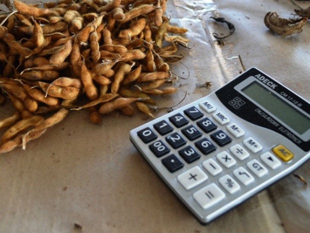 Pesquisadores vão levantar o custo de produção agrícola em Mato Grosso do Sul nesta semana (Foto: Divulgação/Famasul)