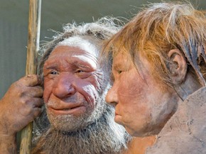 Ultimos Neandertais Nao Coexistiram Com Homem Moderno Diz Estudo Ciencia E Saude G1 Mais de 5.918 de imagens e fotos de neanderthal para escolher, e você não precisa se registrar. g1 globo