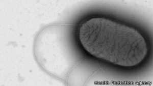Para cientistas, micro-organismos que viverão nas profundezas do solo serão os últimos sobreviventes (Foto: BBC)