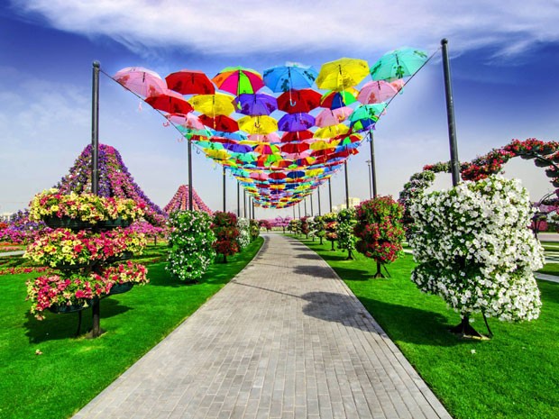 Miracle Garden, em Dubai (Foto: Divulgação/Miracle Graden)