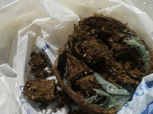 Suspeita foi autuada por tráfico de drogas (Foto: Divulgação/ Polícia Civil)