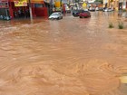 Chuva provoca queda de árvores e inundação (Arquivo Pessoal/ Lourival Rodrigues Alves)