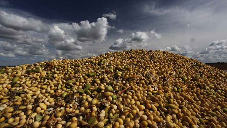 colheita-soja-grao-LUIS-EDUARDO-MAGALHAES-MATOPIBA (Foto: Jonathan Campos/Ag. Gazeta do Povo)