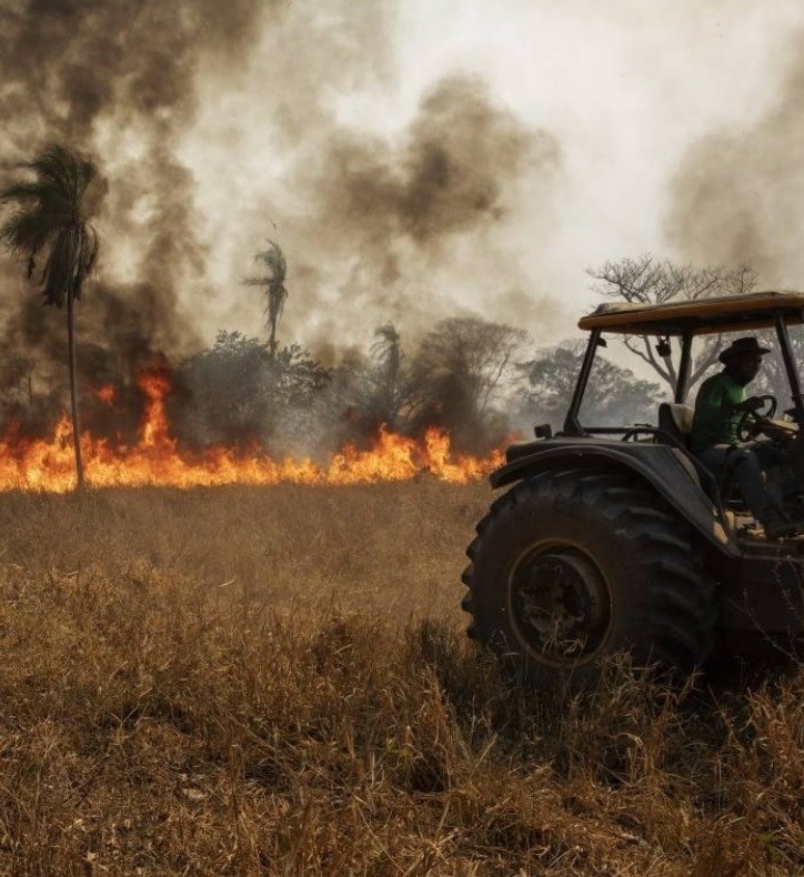 Fogo no Pantanal (Foto: Acrimat/Divulgação)