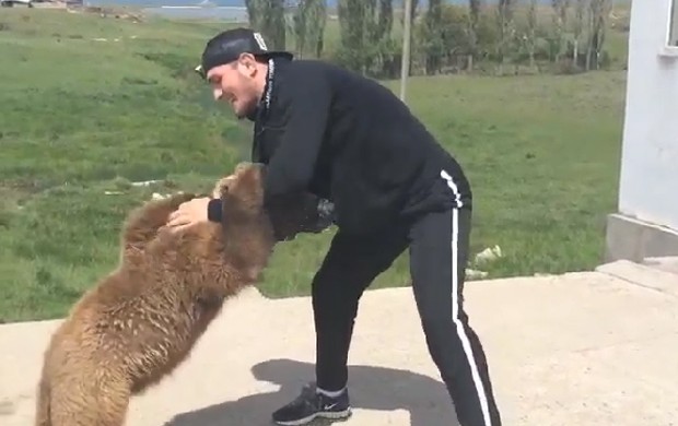 urso Nurmagomedov mma ufc (Foto: Reprodução )