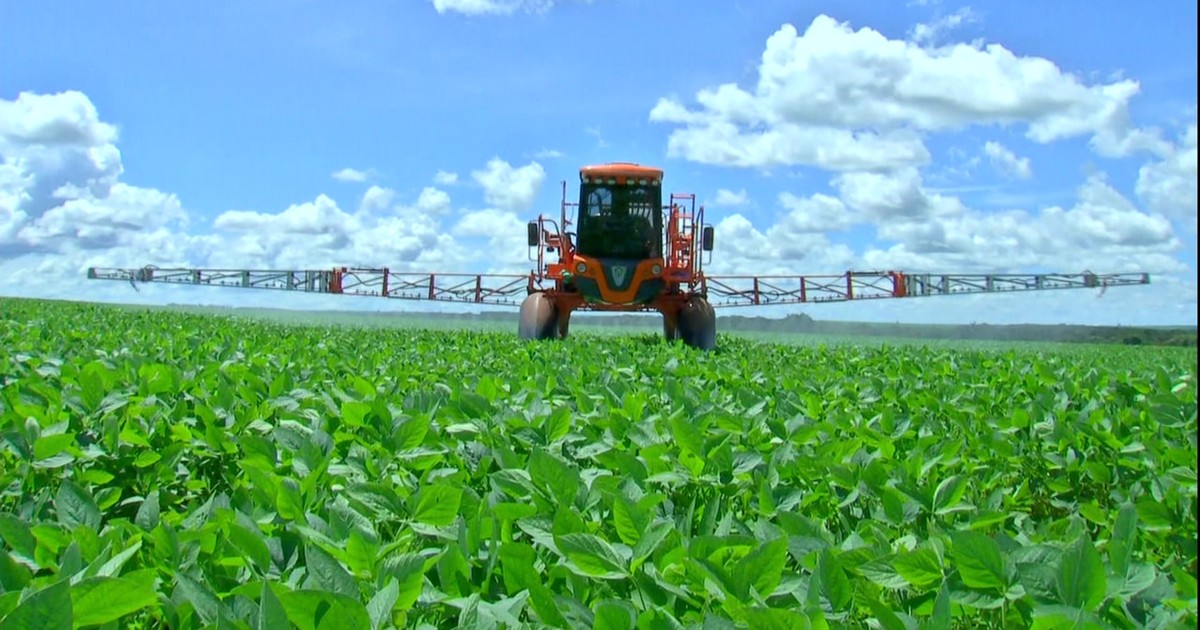 Agronegócios - Agricultores de MT atrasam compra de insumos para o