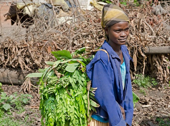 Uma jovem da etnia Ari chega com um carregamento de folhas de moringa nas costas (Foto: © Haroldo Castro/Época)
