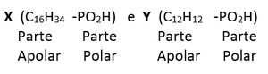 figura (Foto: enem)