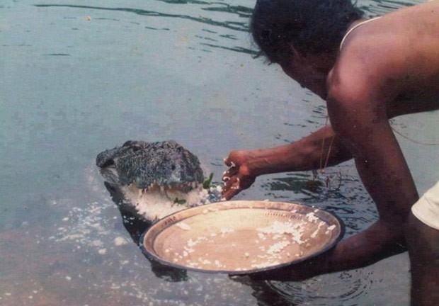 Administrador de templo indiano diz que crocodilo vegetariano seria guardião do local (Foto: Reprodução/YouTube/Sai Srinivasan)