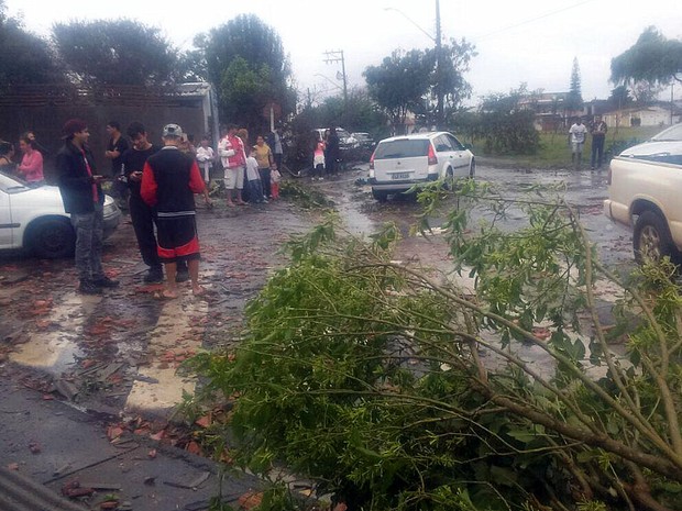 Vendaval derrubou árvores no Santa Felícia em São Carlos (Foto: Alessandra Blanco Farias/Arquivo pessoal)