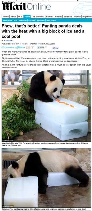 Panda brinca com gelo na China (Foto: Reprodução/Daily Mail)