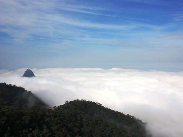 Um denso nevoeiro cobre a zona sul da cidade desde o início da tarde desta segunda (23). (Foto: TV Globo)