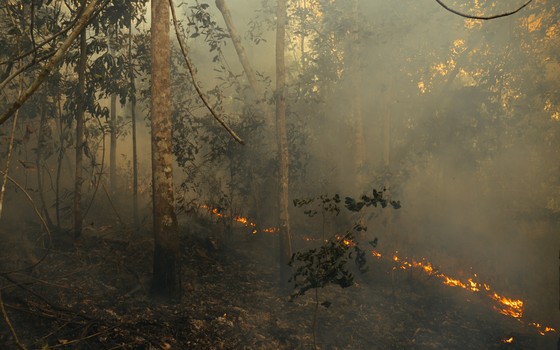 Incêndio na floresta amazônica, na região de Paragominas, Pará (Foto: Adam Ronan/Divulgação)