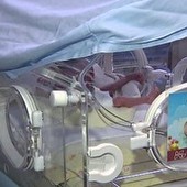 Falta leitos de UTI para bebês recém-nascidos (Reprodução/RPC TV)