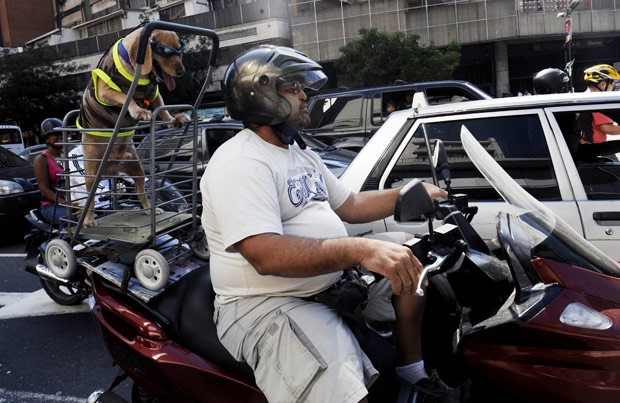 Cão anda na 'garupa' da moto do dono neste domingo (16) em Caracas (Foto: Leo Ramirez/AFP)