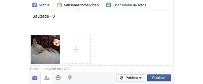 Post do Facebook com foto já editada com figurinha (Foto: Reprodução/ Raquel Freire)