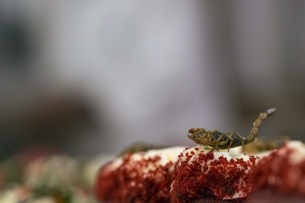 Quitutes têm escorpiões como ingrediente no cardápio de Gene Rurka (Foto: Andrew Kelly/Reuters)