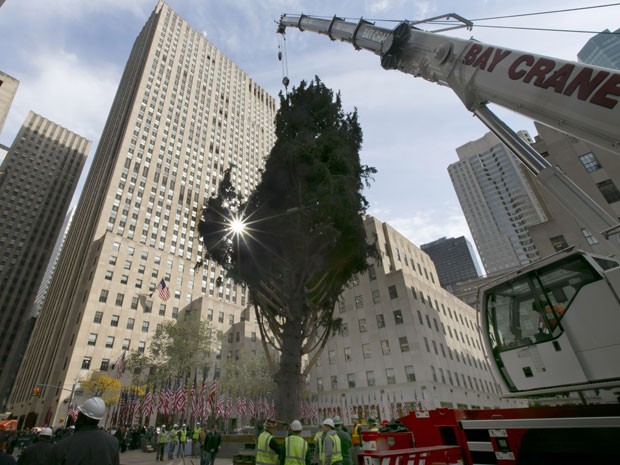 Árvore vai receber estrela de Swarovski e lâmpadas de LED (Foto: Richard Drew/AP) Árvore vai receber estrela de Swarovski e lâmpadas de LED (Foto: Richard Drew/AP)