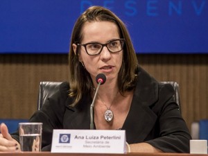 Ana Luiza Peterlini, secretária de Meio Ambiente de MT (Foto: Rafaella Zanol/Gcom-MT)