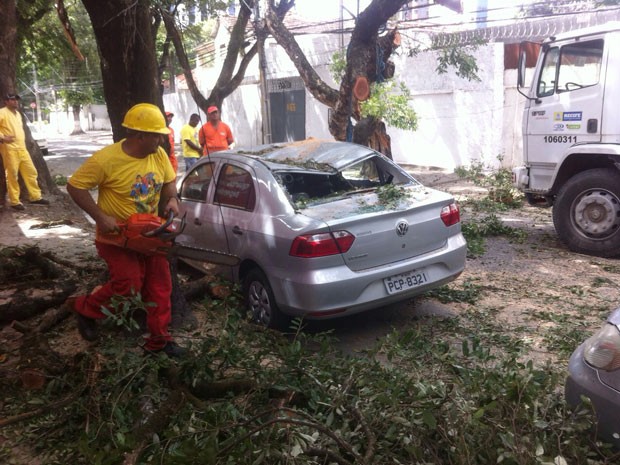 Árvore caiu em cima de vários carros, no Recife. (Foto: Hélio Carneiro / TV Globo)