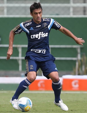 Destaque no Verdão, Robinho fica 