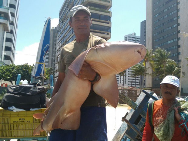 Muitos banhistas saíram do mar assustados quando os pescadores chegaram com o animal (Foto: Reinaldo Andrade / WhatsApp)