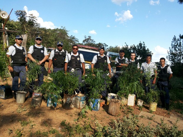 maconha2.jpg