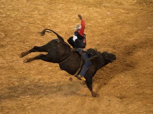 Domingo (25) - O peão Cláudio Crisóstomo somou a maioria dos pontos na final do rodeio internacional de montarias em touros (Foto: Érico Andrade/G1)