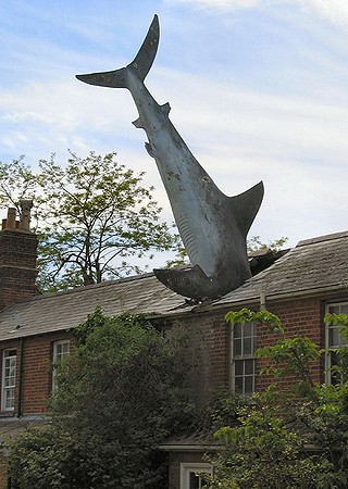 Tubarão no telhado, na Inglaterra (Foto: Reprodução/The World Geography)