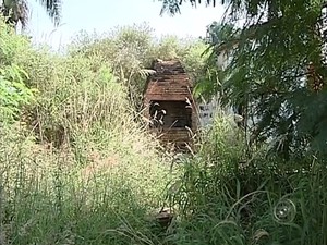 Moradora reclama de mato alto em terreno no Jardim Bela Vista (Foto: Reprodução/ TV TEM)