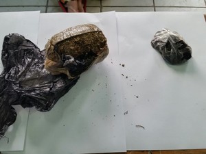 Droga estava embrulhada em uma sacola (Foto: Divulgação/Sindaspen)