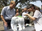 Em visita à China, príncipe William pede fim do comércio de marfim