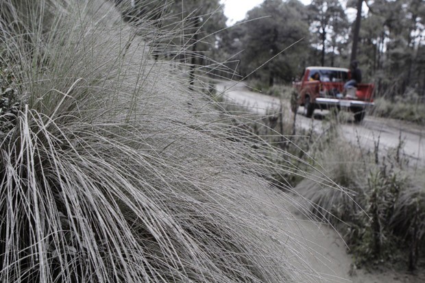 Vegetação coberta de cinza em Paso de Cortes (Foto: Imelda Medina/Reuters)