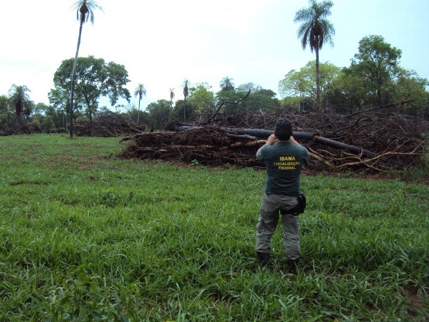 Ibama multa proprietário rural em R$ 699 mil por desmatamento em Bela Vista (MS). (Foto: Divulgação/Ibama)
