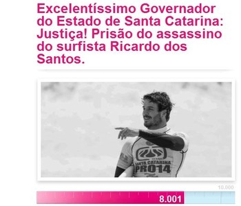 Ricardo dos Santos abaixo-assinado (Foto: Reprodução/Avaaz)