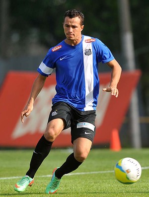 Leandro Damião Santos (Foto: Ivan Storti/Divulgação Santos FC)