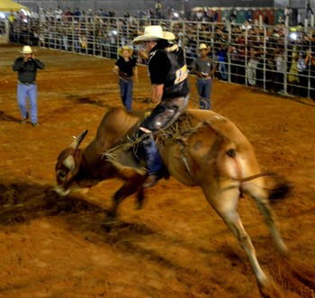 Rodeio na Expoacre 2016 (Foto: Nathacha Albuquerque)