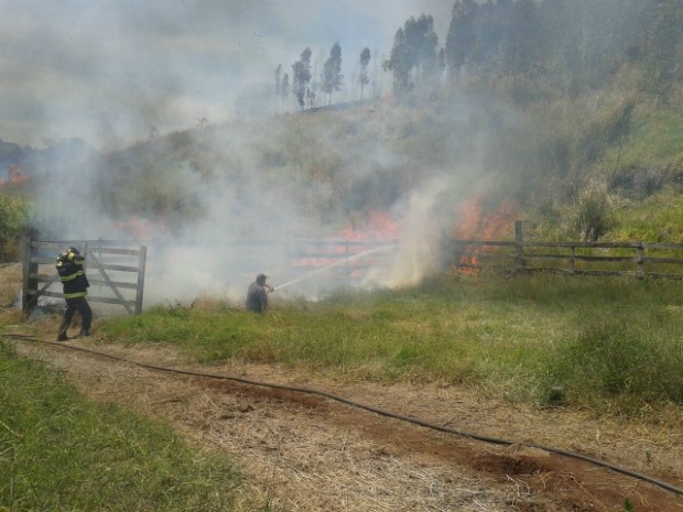 Bombeiros trabalham no combate Ã s chamas (Foto: Arquivo Pessoal / LÃ¡zaro Neto)