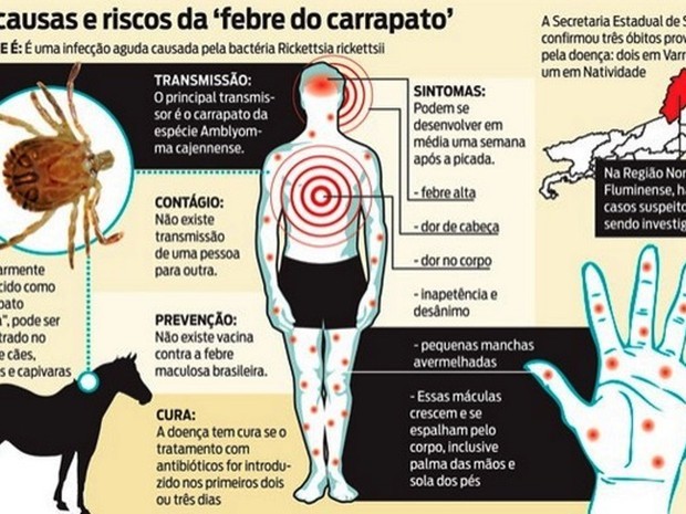 Febre maculosa: casos aumentam em período de seca, veja ações
