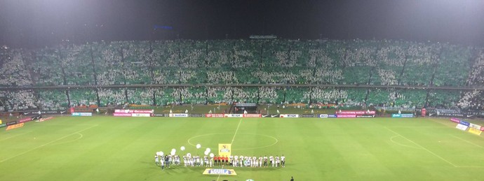 mosaico da torcida do atlético nacional diz "vamo, vamo chape" (Foto: Leonardo Lourenço / GloboEsporte.com) mosaico da torcida do atlético nacional diz "vamo, vamo chape" (Foto: Leonardo Lourenço / GloboEsporte.com)