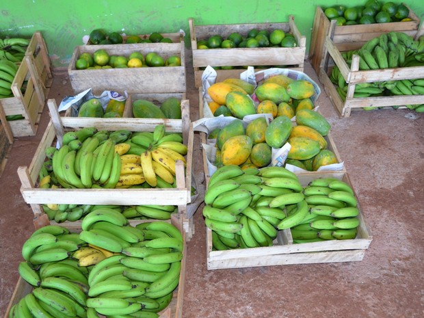 Agricultores cadastrados no programa poderão fornecer os alimentos em 2017 (Foto: Magda Oliveira/G1)